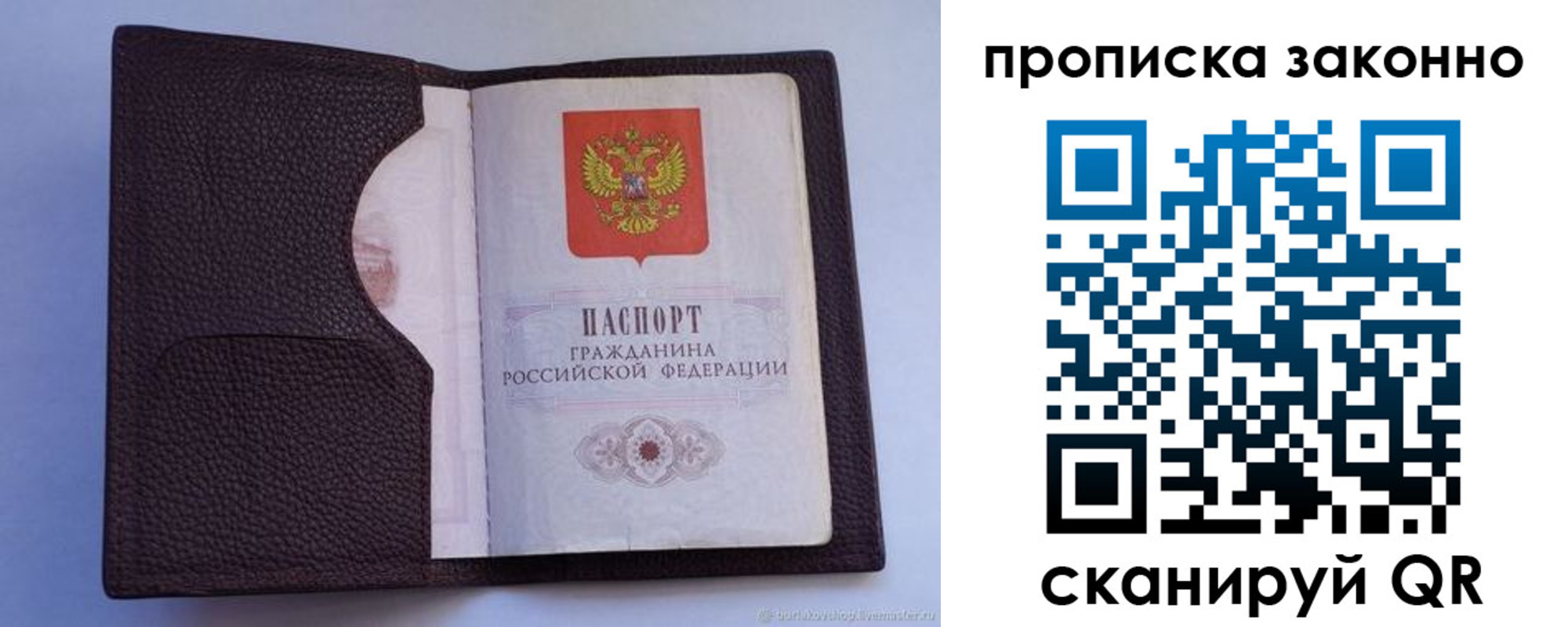 регистрация в Владимирской области